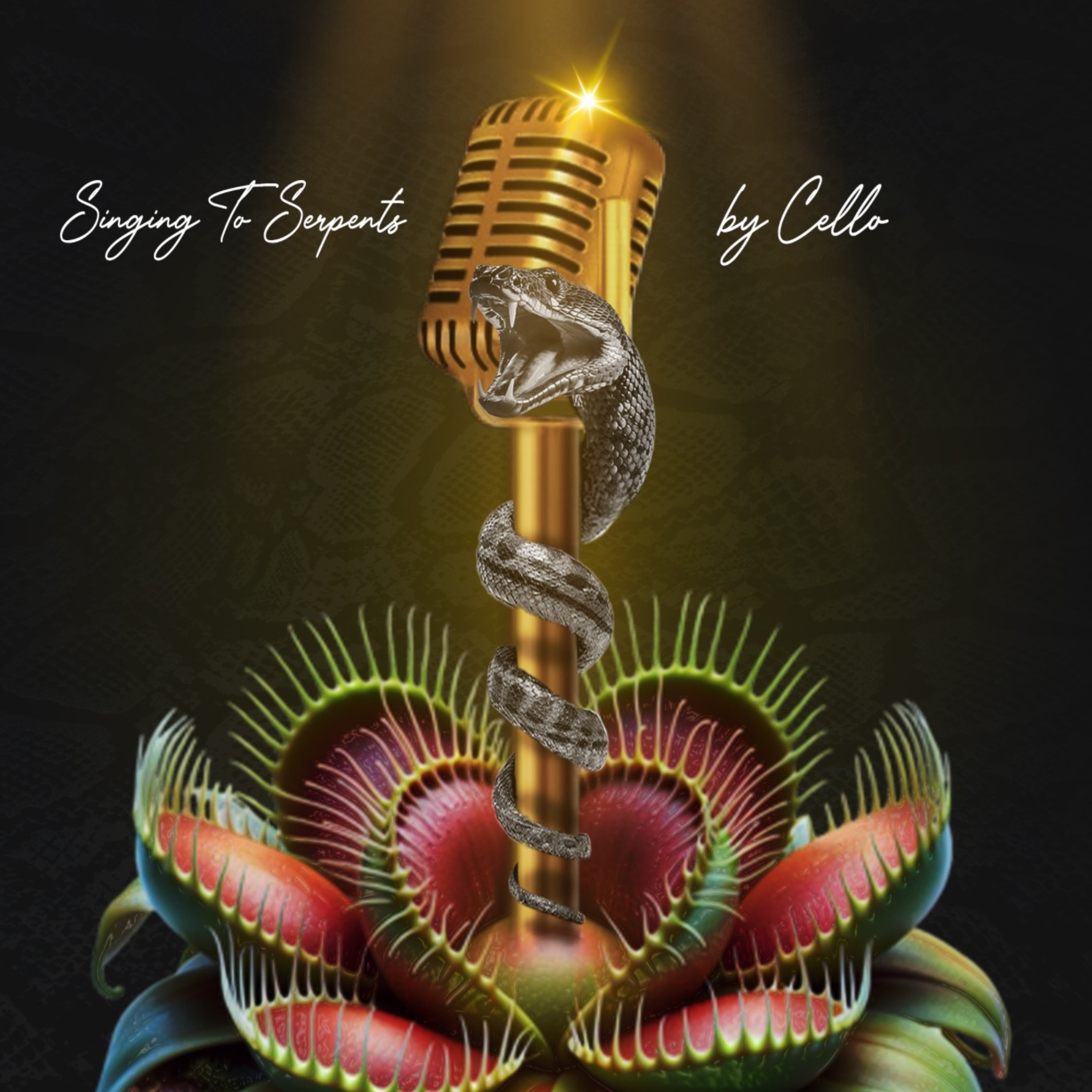 Album Art