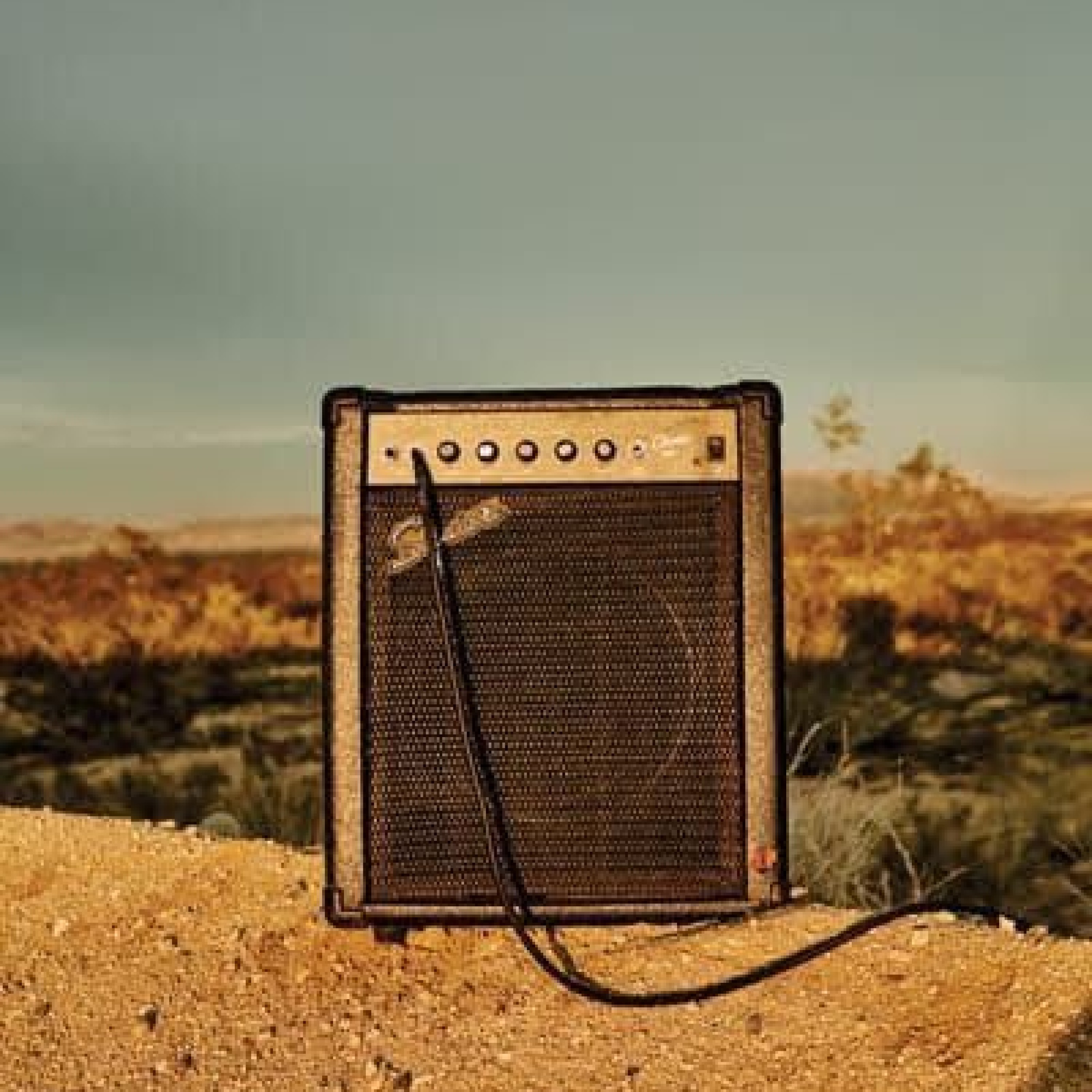 Album Art